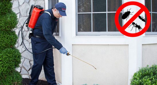 Dikili Kemirgen İlaçlama böcek ilaçlama ve haşere kontrolü — ilaclama-tr.com